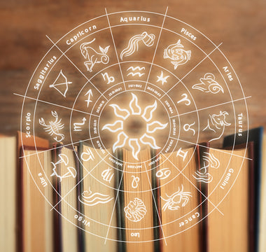 Alt du skal vide om skytten