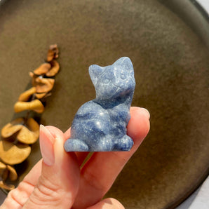 Blå aventurin siddende kat