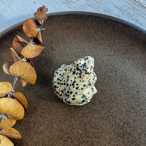 Dalmatiner jaspis frø