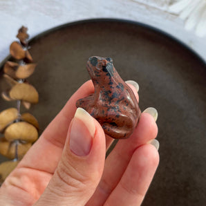 Mahogni obsidian frø