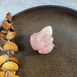 Rosakvarts frø