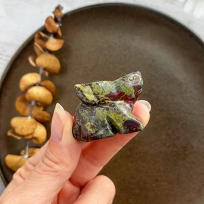 Drageblods jaspis hare