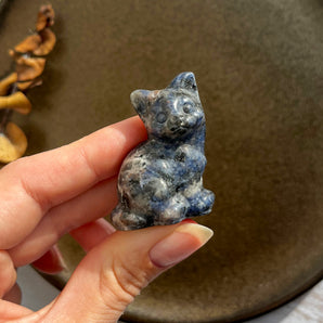 Sodalit siddende kat