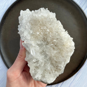 Krysantemum kvarts klynge (nr. 3)