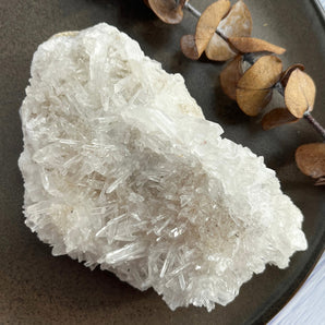 Krysantemum kvarts klynge (nr. 3)