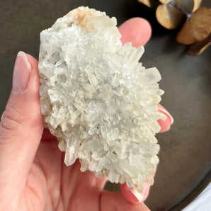 Krysantemum kvarts klynge (nr. 1)