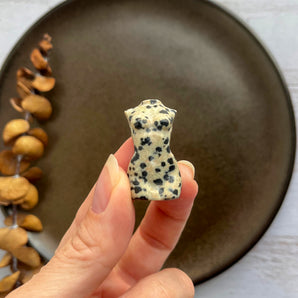 Dalmatiner jaspis kvindekrop