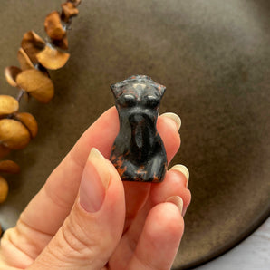 Mahogni obsidian kvindekrop