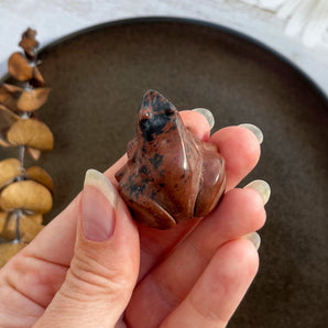 Mahogni obsidian frø