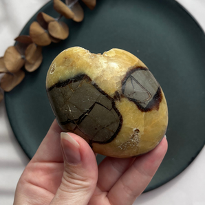 Septarie palm stone (OUTLET)