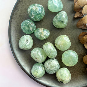 Prehnit lommesten (OULET)