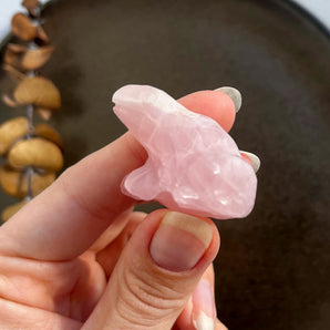 Rosakvarts frø