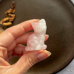 Rosakvarts siddende kat