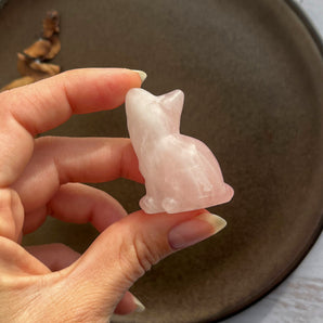 Rosakvarts siddende kat