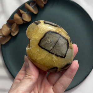 Septarie palm stone (OUTLET)