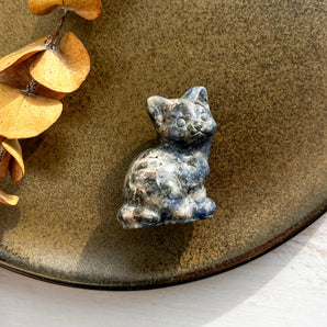 Sodalit siddende kat