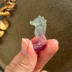 Regnbue fluorit søhest