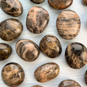 sort månesten palm stone